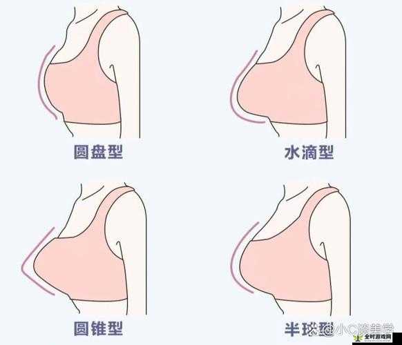 水滴型与馒头型的区别究竟在哪里