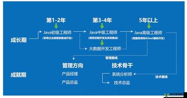 JavaparserHD 中国在技术领域的卓越表现与发展前景探讨