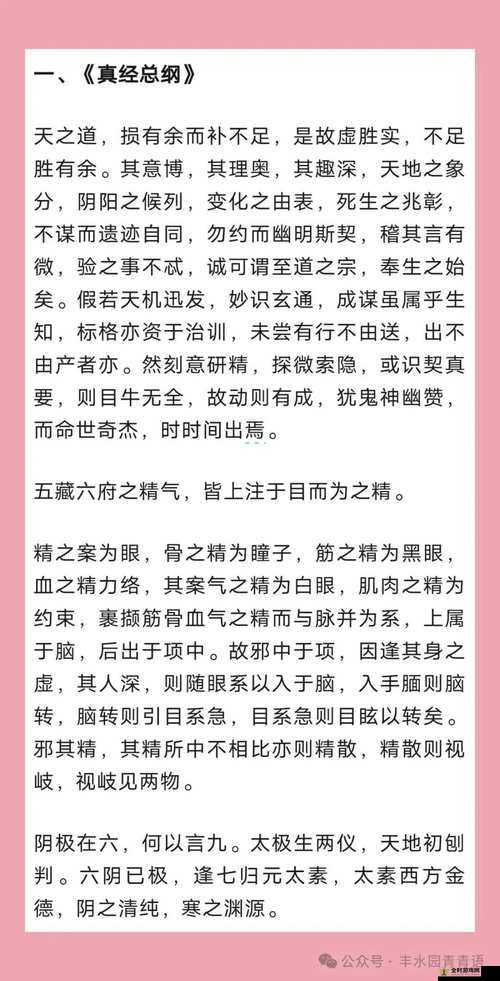 九阴真经装备开光全面解析，秘籍技巧与属性加成深度探讨